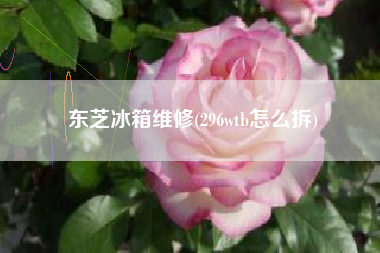 东芝冰箱维修(296wtb怎么拆)