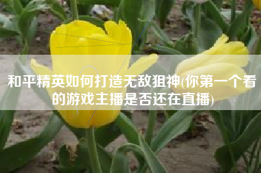 和平精英如何打造无敌狙神(你第一个看的游戏主播是否还在直播)