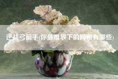 逆战弓箭手(你最难放下的网游有哪些)