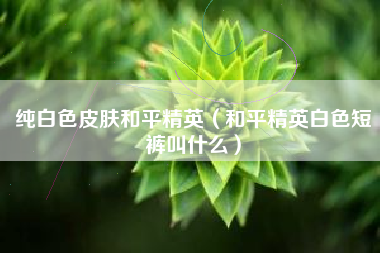 纯白色皮肤和平精英（和平精英白色短裤叫什么）