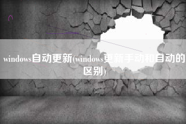 windows自动更新(windows更新手动和自动的区别)