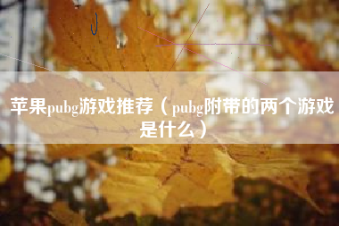 苹果pubg游戏推荐（pubg附带的两个游戏是什么）