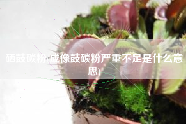 硒鼓碳粉(成像鼓碳粉严重不足是什么意思)