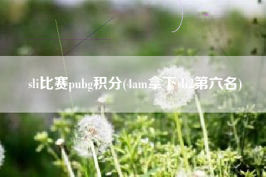 sli比赛pubg积分(4am拿下sli2第六名)