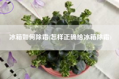 冰箱如何除霜(怎样正确给冰箱除霜)