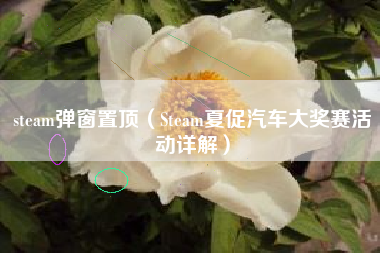 steam弹窗置顶（Steam夏促汽车大奖赛活动详解）