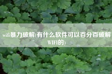 wifi暴力破解(有什么软件可以百分百破解WIFI的)