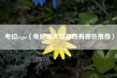 考拉csgo（电脑端大型游戏有哪些推荐）