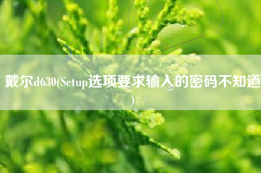 戴尔d630(Setup选项要求输入的密码不知道)