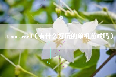 steam orwell（有什么好玩的单机游戏吗）