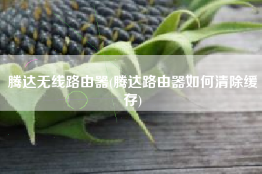 腾达无线路由器(腾达路由器如何清除缓存)