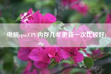 电脑cpu(CPU内存几年更新一次比较好)