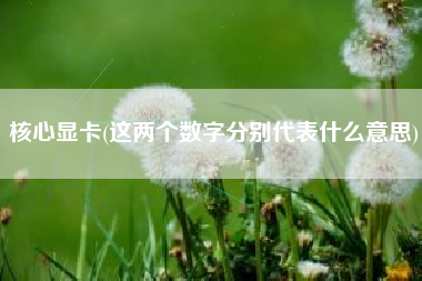 核心显卡(这两个数字分别代表什么意思)