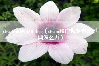 steam商店页面bug（steam账户恢复老是过期怎么办）