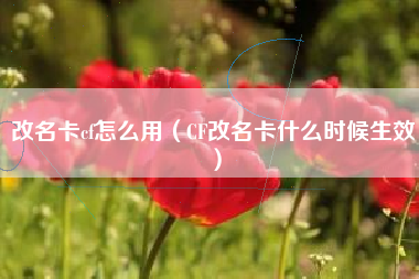 改名卡cf怎么用（CF改名卡什么时候生效）