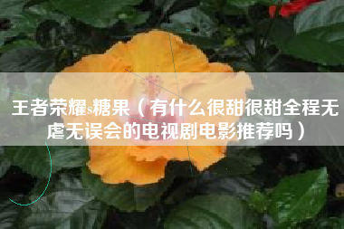 王者荣耀s糖果（有什么很甜很甜全程无虐无误会的电视剧电影推荐吗）