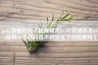 pubg智能芯片（超频骁龙845和普通骁龙845是同一个芯片在不同优化下的结果吗）