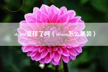 steam变样了吗（steam怎么重装）