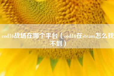 cod16战场在哪个平台（cod16在steam怎么找不到）