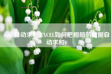 excel自动求和(EXCEL如何把相同的数据自动求和)