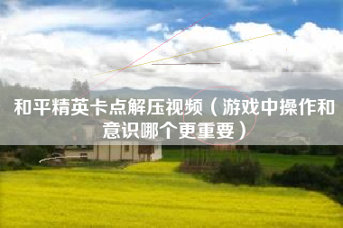 和平精英卡点解压视频（游戏中操作和意识哪个更重要）