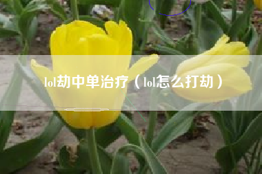 lol劫中单治疗（lol怎么打劫）