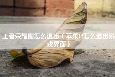 王者荣耀圈怎么退出（苹果12怎么退出游戏界面）