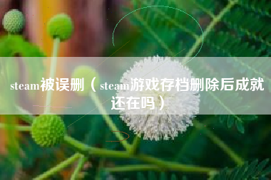 steam被误删（steam游戏存档删除后成就还在吗）