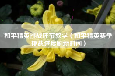 和平精英挑战环节教学（和平精英赛季挑战进度刷新时间）