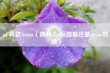 sd 高达steam（请问csgo玩国服还是steam好点）