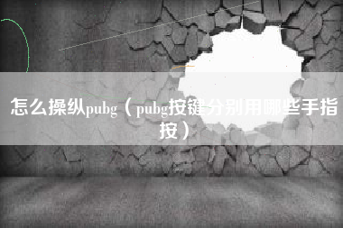 怎么操纵pubg（pubg按键分别用哪些手指按）