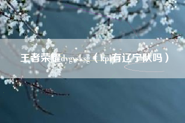 王者荣耀dygvsksg（kpl有辽宁队吗）