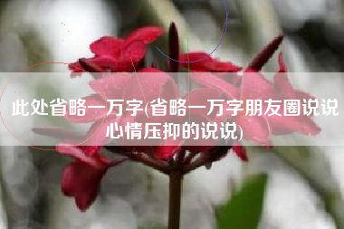 此处省略一万字(省略一万字朋友圈说说心情压抑的说说)