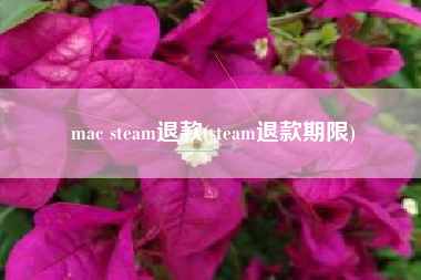 mac steam退款(steam退款期限)