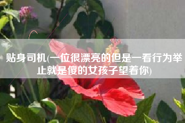 贴身司机(一位很漂亮的但是一看行为举止就是傻的女孩子望着你)