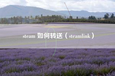 steam 如何转送（steamlink）