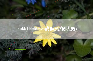 huhi(100thieves战队现役队员)