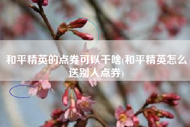 和平精英的点券可以干啥(和平精英怎么送别人点券)