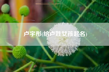 卢宇彤(给卢姓女孩起名)