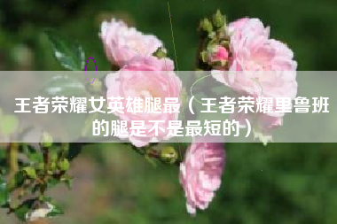 王者荣耀女英雄腿最（王者荣耀里鲁班的腿是不是最短的）