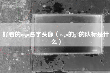 好看的csgo名字头像（csgo的g2的队标是什么）