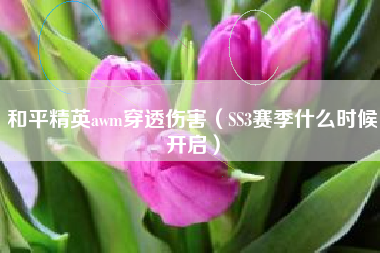 和平精英awm穿透伤害（SS3赛季什么时候开启）