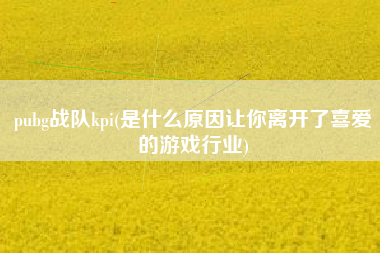 pubg战队kpi(是什么原因让你离开了喜爱的游戏行业)