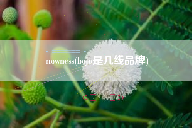 nowness(bojo是几线品牌)