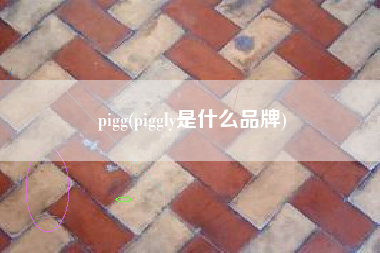 pigg(piggly是什么品牌)