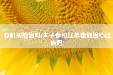 心肌病能治吗(太子参和淫羊藿能治心脏病吗)