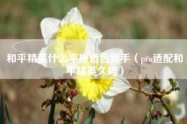 和平精英什么平板适合新手（pro适配和平精英久吗）