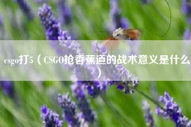 csgo打5（CSGO抢香蕉道的战术意义是什么）