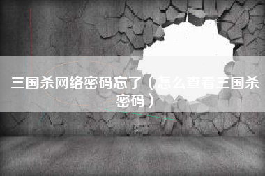 三国杀网络密码忘了（怎么查看三国杀密码）