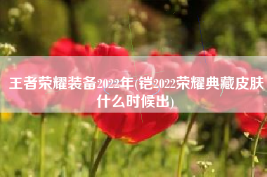 王者荣耀装备2022年(铠2022荣耀典藏皮肤什么时候出)